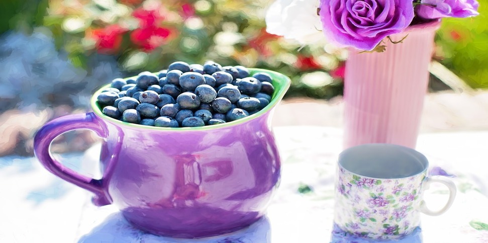Amazing Benefits Of Blueberries