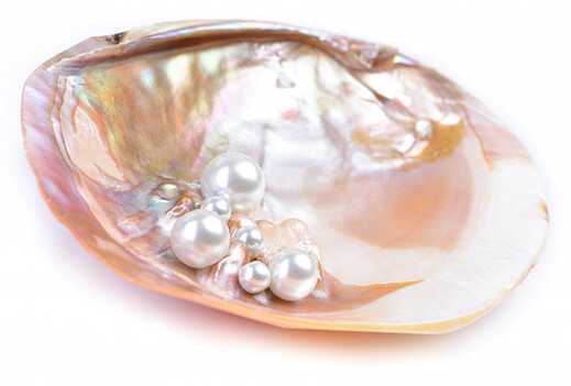 Pearl Shell and Pearls